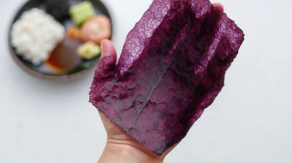 10 raisons d'intégrer les algues nori à votre alimentation